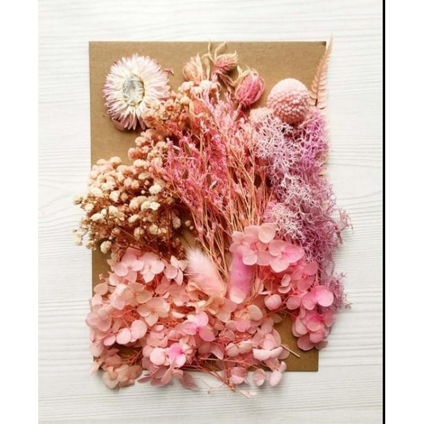 1Box Dried Flowers For Art Craft Epoxy Resin Candle Gift Decor DIY Wedding E5P6 1Box Dried Flowers For Art Craft Epoxy Resin Candle Gift Decor DIY Wedding E5P6
